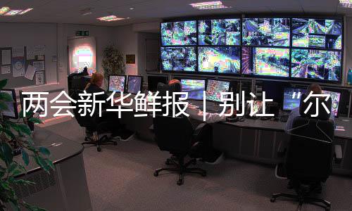 兩會新華鮮報｜別讓“爾濱”們變曇花，代表委員呼吁文旅IP繁花常在