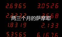 兩三個月的薩摩耶