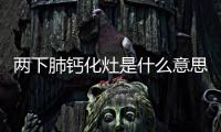 兩下肺鈣化灶是什么意思（肺鈣化灶是什么意思）