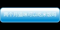兩個月貓咪可以吃米飯嗎(兩個月小貓咪可以吃米飯嗎)