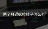 兩個月貓咪拉肚子怎么辦(兩個月貓咪拉肚子吃什么藥)