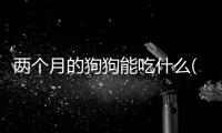 兩個(gè)月的狗狗能吃什么(兩個(gè)月的狗狗吃什么狗糧)