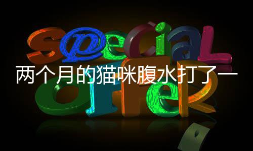 兩個月的貓咪腹水打了一針(兩個月大的貓咪怎么養)