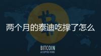 兩個月的泰迪吃撐了怎么辦(兩個月的泰迪怎么喂養)
