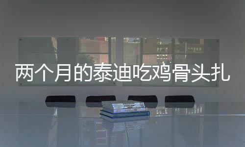兩個(gè)月的泰迪吃雞骨頭扎到了怎么辦？泰迪雞骨頭能吃嗎