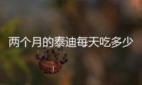 兩個(gè)月的泰迪每天吃多少(泰迪狗每天吃多少合適)