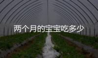 兩個月的寶寶吃多少