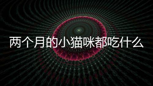 兩個月的小貓咪都吃什么食物？兩個月的小貓咪都吃什么貓糧
