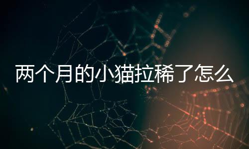 兩個月的小貓拉稀了怎么辦(兩個月的小貓拉稀但是精神很好)