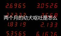 兩個月的幼犬嘔吐是怎么回事(兩個月的狗吐了是怎么回事兒)