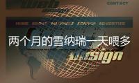 兩個(gè)月的雪納瑞一天喂多少水(兩個(gè)月雪納瑞喂多少狗糧)