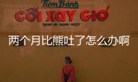 兩個月比熊吐了怎么辦啊？兩個月的比熊吐完以后不吃東西怎么辦