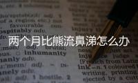 兩個月比熊流鼻涕怎么辦(兩個月比熊怎么訓練大小便)