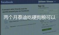 兩個月泰迪吃硬狗糧可以嗎？兩個月泰迪吃干狗糧