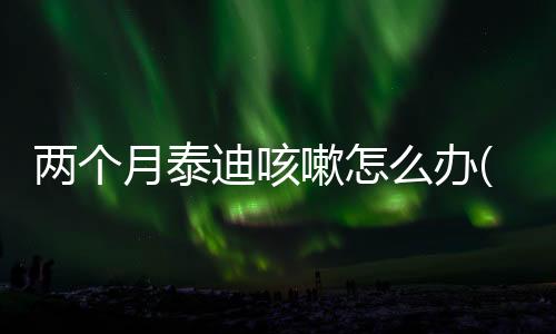 兩個(gè)月泰迪咳嗽怎么辦(泰迪感冒咳嗽怎么辦)