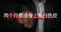兩個月泰迪身上有白色皮屑(兩個月泰迪吐白色粘液)