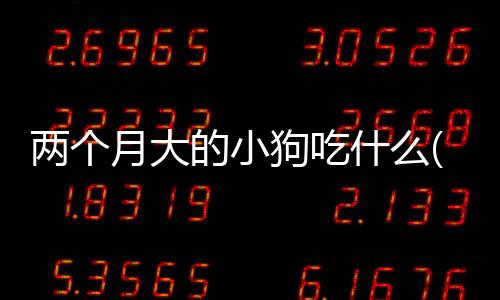 兩個(gè)月大的小狗吃什么(兩個(gè)月的小狗怎么訓(xùn)練定點(diǎn)大小便)