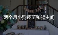兩個月小狗疫苗和驅(qū)蟲間隔(兩個月小狗疫苗和驅(qū)蟲一起打嗎)