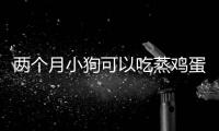兩個(gè)月小狗可以吃蒸雞蛋嗎(小狗可以吃熟雞蛋嗎)
