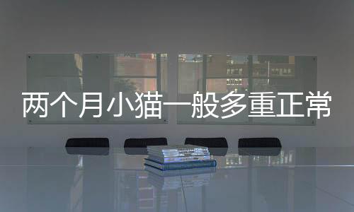 兩個月小貓一般多重正常(兩個月小貓一天吃多少貓糧)