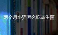 兩個(gè)月小貓?jiān)趺闯砸嫔郏績蓚€(gè)月小貓?jiān)趺闯砸嫔?/></div></a><dfn dir=