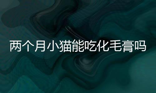 兩個月小貓能吃化毛膏嗎？小貓能吃化毛膏嗎?