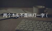兩個木頭不是林打一字（雙木不是林打一字）