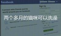 兩個多月的貓咪可以洗澡嗎?(貓怎么樣才算認了主人)