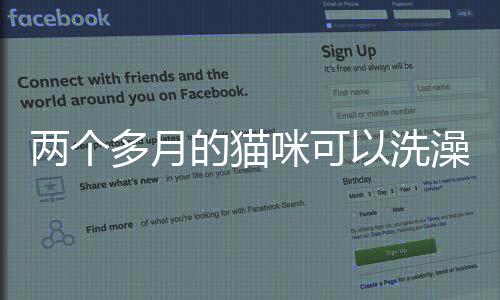 兩個(gè)多月的貓咪可以洗澡嗎?(貓?jiān)趺礃硬潘阏J(rèn)了主人)