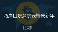 兩岸山東鄉親云端慶新年 書香墨韻傳鄉音