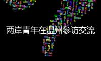 兩岸青年在溫州參訪交流、互學互鑒“融青春 聚能量 向未來”