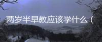 兩歲半早教應(yīng)該學(xué)什么（幼兒早教課程推薦）