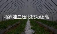 兩歲娃血壓比奶奶還高 這究竟是為何