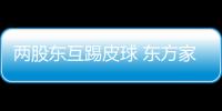 兩股東互踢皮球 東方家園遭供應商追討欠款