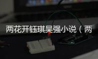 兩花開鈺琪吳強(qiáng)小說（兩花開）