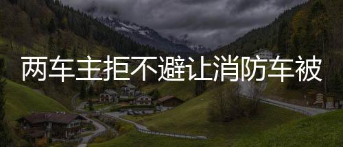 兩車主拒不避讓消防車被罰 消防員曾多次鳴笛喊話