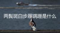 兩鬢斑白步履蹣跚是什么意思（蹣跚是什么意思）