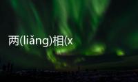 兩(liǎng)相(xiāng)情(qíng)愿(yuàn)真相是什么?