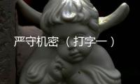 嚴守機密 （打字一）