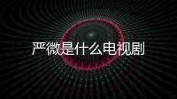 嚴(yán)微是什么電視劇