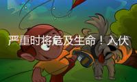嚴重時將危及生命！入伏天將近，謹防這個病→