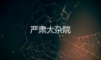 嚴肅大雜院