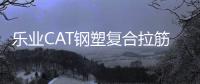 樂業(yè)CAT鋼塑復(fù)合拉筋帶批發(fā)價格