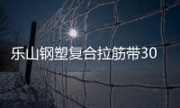樂山鋼塑復合拉筋帶30020C廠家采購供應