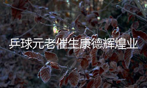 乒球元老催生康德輝煌業(yè)績 張平可：新賽季保三爭一