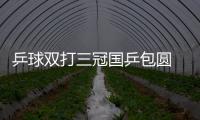 乒球雙打三冠國乒包圓 時隔12年后男雙重奪冠
