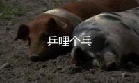 乒哩個乓