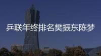乒聯年終排名樊振東陳夢榜首 丁寧退役仍列第6