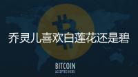 喬靈兒喜歡白蓮花還是碧游