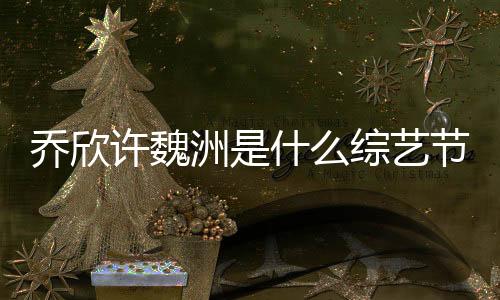 喬欣許魏洲是什么綜藝節目
